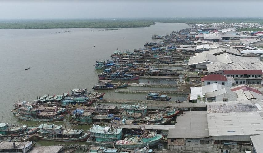 Keuntungan dan Kerugian Pakan Udang Vaname Tradisional