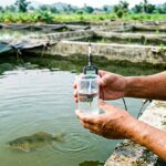 Peternak mengecek sampel air kolam terpal saat menyelidiki ikan nila sirip robek warna pucat
