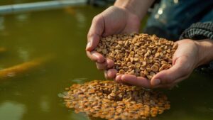 Padat Tebar Ikan Lele per Meter Persegi: Panduan Ideal