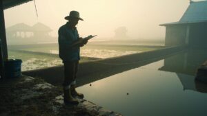 Udang Vaname Mati Lambat: Penyebab Utama dan Cara Mengatasinya di Tambak