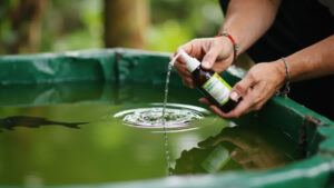 Aplikasi EM4 probiotik ke kolam ikan secara organik