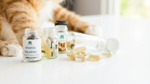 kebutuhan-vitamin-kucing-pelengkap