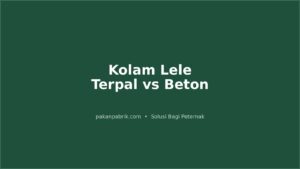 Kolam Lele Terpal vs Beton: Kelebihan, Kekurangan, dan Padat Tebar Ideal