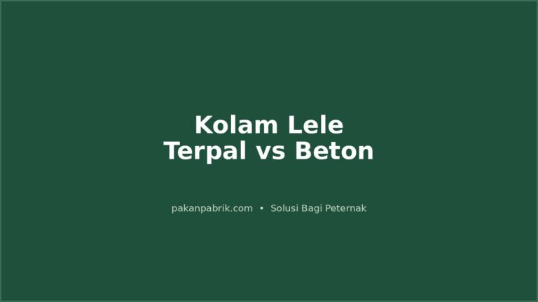 Kolam Lele Terpal vs Beton: Kelebihan, Kekurangan, dan Padat Tebar Ideal