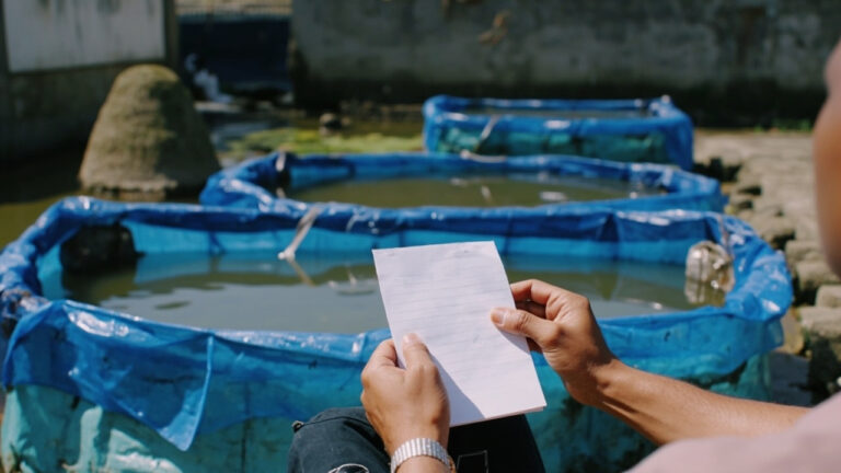 Kolam Terpal vs Kolam Beton untuk Lele: Biaya, Performa, dan Kelayakan Skala Rumahan