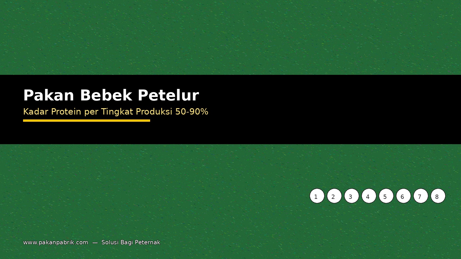 pakan bebek petelur protein tingkat produksi