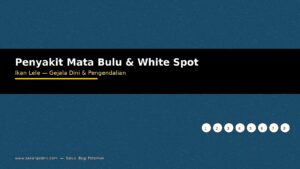 Penyakit Ikan Lele Mata Bulu dan White Spot: Penyebab, Gejala, dan Pengendalian