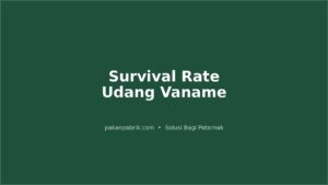 Target Survival Rate Udang Vaname per Fase dan Cara Menjaganya Tetap Tinggi